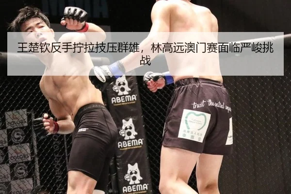 wang-chu-qin-fan-shou-ning-la-ji-ya-qun-xiong-lin-gao-yuan-ao-men-sai-mian-lin-yan-jun-tiao-zhan-2-876.jpg